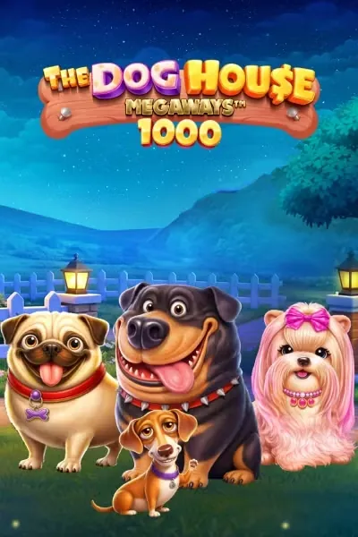 Quatre chiens devant une niche la nuit